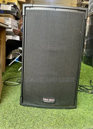 Pro-NAK 115 Professional Audio Half-Range PA Speaker – High-Power Stage Monitor/FOH Speaker