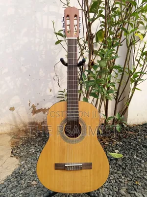 Jose Ribera HG-623 3/4-Size Classical Guitar – Nylon Strings, Student Build with Padded Carry Bag