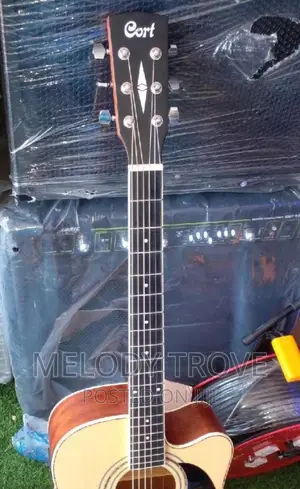 Cort Semi-Acoustic Guitar – Professional Electric & Semi-Acoustic Guitar