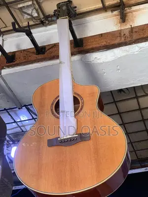 Gibson Acoustic Guitar