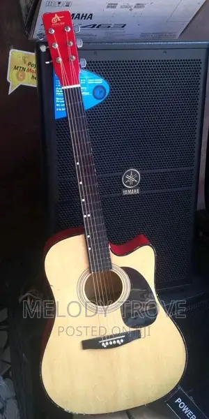 Semi-Acoustic Guitar – Professional Electric & Semi-Acoustic Guitar