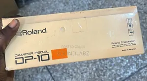 Roland DP-10 Damper Sustain Pedal – Real-Feel Continuous Detection, Non-Slip Rubber Plate