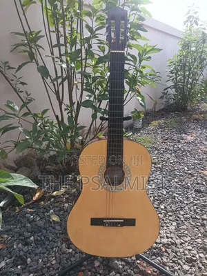 Classical Guitar Palma,Hohner, Monroy,Cantabelisson