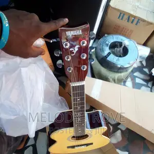 Semi-Acoustic Guitars (YAMAHA) – Professional Electric & Semi-Acoustic Guitar