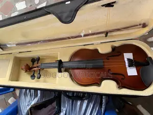 Violin With Gig Case(4/4)
