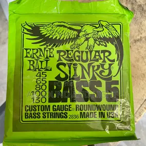 Ernie Ball Regular Slinky 5-String Bass Guitar Strings – Nickel-Wound Hex Core, Balanced Rich Tone