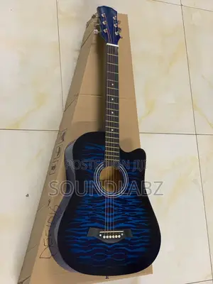 Professional Acoustic Guitar (blue) | Steel-String | Warm Resonant Tone | Beginner to Pro