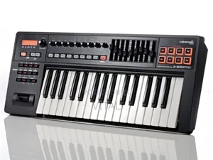 Roland a-300 Pro Studio Keyboard