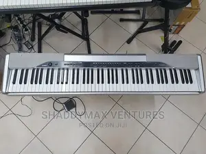 Casio Privia PX 310 Keyboard | Touch-Sensitive Keys | Built-in Voices & Rhythms | Beginner to Pro