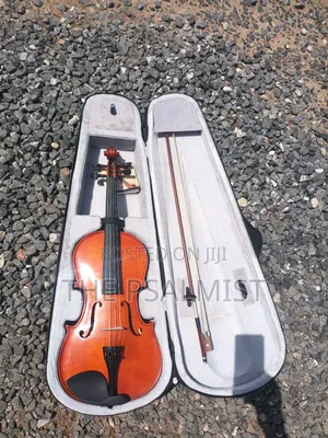 Custom Professional Viola With Accessories | Rich Warm Tone | Maple & Spruce Build | Bow & Case Included