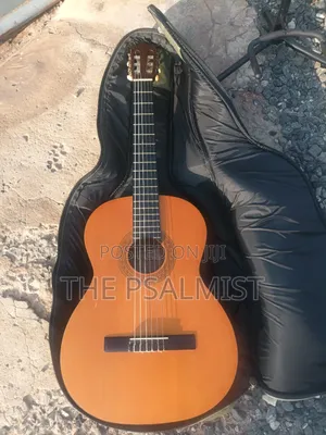 Corina C-7 Classical Guitar – Nylon String Spanish Guitar with Padded Bag