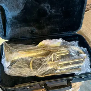 Jinbao JBAH-1300 Eb Alto Horn Gold-Lacquered – Piston Valves, Warm Tone for Brass & School Bands