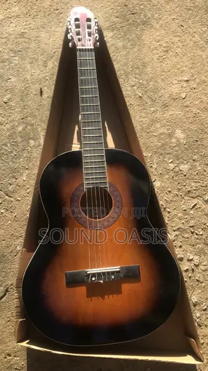 Professional Acoustic Guitar | Steel-String | Warm Resonant Tone | Beginner to Pro