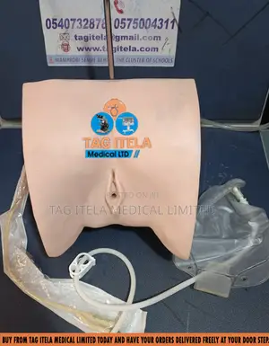 Catheterization Manikin (Female)