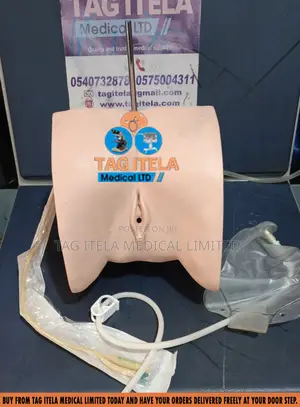 Catheterization Manikin (Female) | Female Catheterization Model | Urethral Training | Life-Like | Nursing Grade