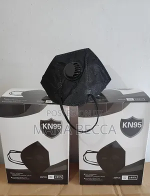 Kn95 Black Mask