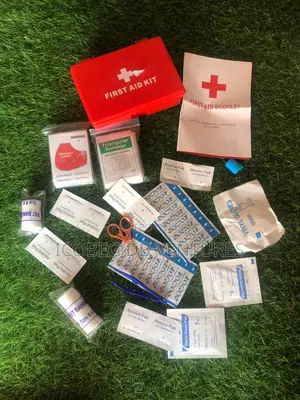 Mini First Aid Kit