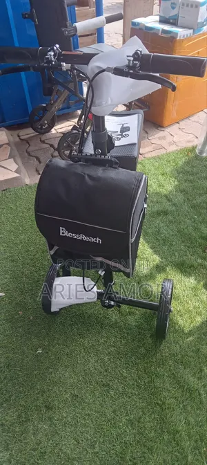 Blessreach Knee Walker