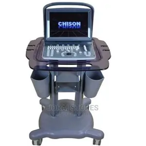 Chilson Ultrasound Scan
