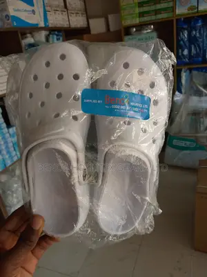 Crocs Shoe