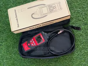 Combustible Gas Detector | Multi-Gas Detection | CO/CH4/H2/LPG | LCD Display | Alarm & Vibration | EN 50291