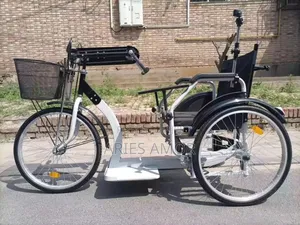 Tricycle for Disabled