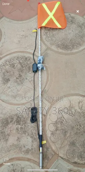 Buggy Whip With Light