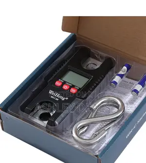 WH-C 300kg/600lb Crane Scale – High-Precision ABS & Stainless Steel Hanging Scale