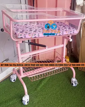 Baby's Cot Bed (Bassinet)