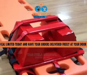 Stretcher Head Immobilizer (Adult and Child)