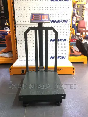 Electronic Scale 300kg - Wec1531