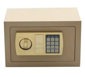 Safe Money Safe ( Microwave Size)