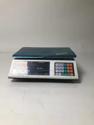 Valuation Scale (Digital Price Computing)