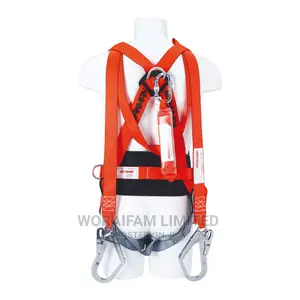 Body Harness