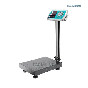 Total Electonic Scale