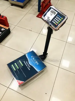 Electric Stainless Scale (Camry)
