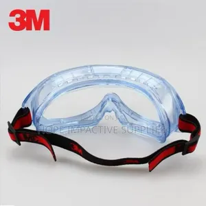 3m Heavy Duty Goggle.
