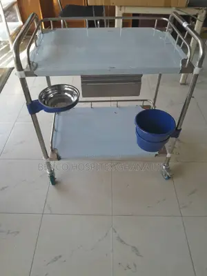 Stainless Trolley 2 Steps With Drawer