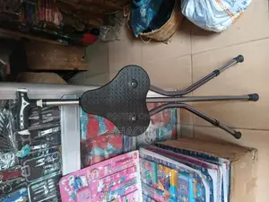 Walking Stick With Chair and Torch Light