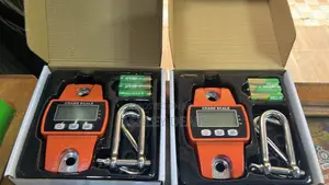 Portable Digital 300kg Crane Scale