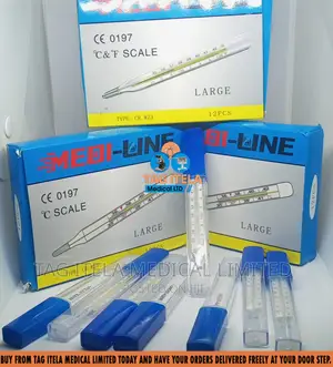 Thermometer (Clinical) | Fast 60-Second | Fever Alert | Waterproof Tip | Memory Recall | Mercury-Free