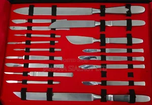 Scalple Knifes Stainless Steel (All Size)