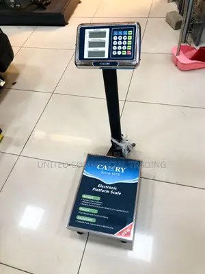 Electric Stainless Scale (Camry)