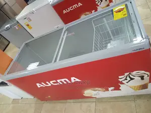 Aucma 400L Display Freezer