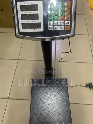 A Platform Scale – Digital Weighing Scale – Platform, Hanging, Pricing & Pocket Scales