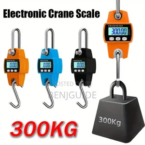 Portable Digital Crane/Hanging Scale 300kg