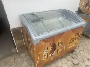 Used Display Freezer(Magnum Branded)-Perfect for Frozen Foods Drinks