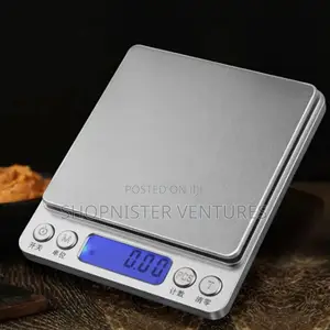 0.1kg Portable Digital Scale