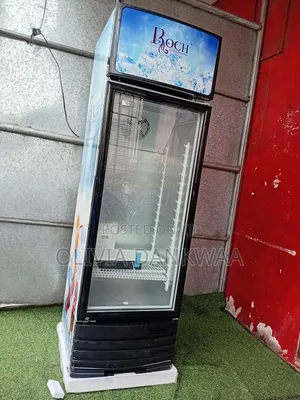 Most Quality Roch Showcase Refrigerator | Glass Door Display | Compressor Cooling | LED Interior | Stainless Frame | Restaurant & Retail Grade