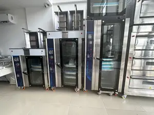 Commercial 10 Tray Gas Connection Oven With Steam | Commercial Grade | Multi-Shelf | Uniform Heat Distribution | Gas / Electric | Restaurant & Bakery Use
